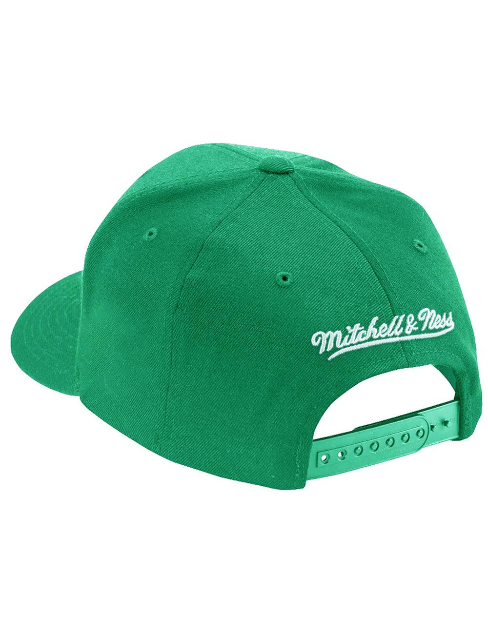 Mitchell And Ness Caps Boston Celtics Mitchell & Ness NBA Team 2.0 Pro Crown Snapback Hat - Green