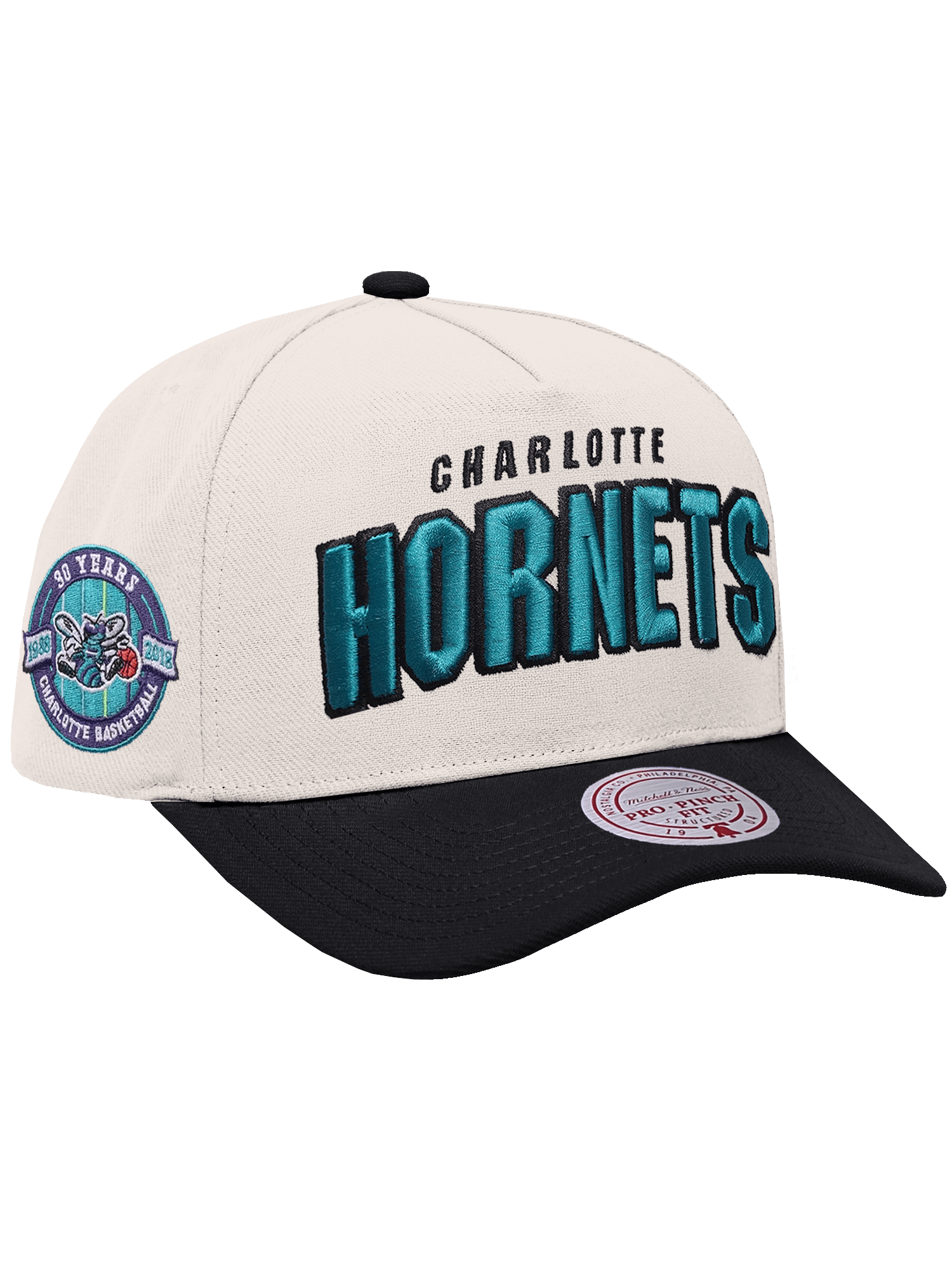 Mitchell And Ness Caps Charlotte Hornets Mitchell & Ness NBA HWC Draft Day Pro Pinch Snapback Hat