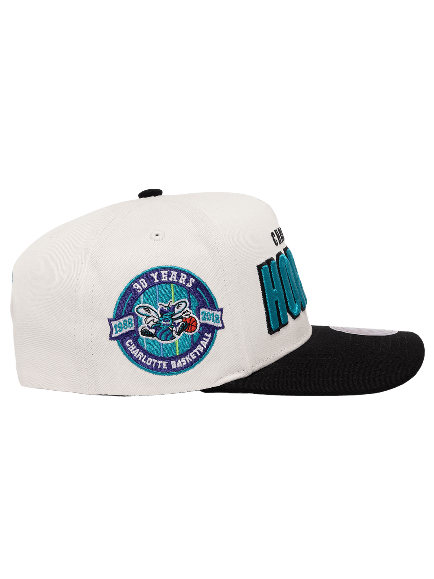 Mitchell And Ness Caps Charlotte Hornets Mitchell & Ness NBA HWC Draft Day Pro Pinch Snapback Hat