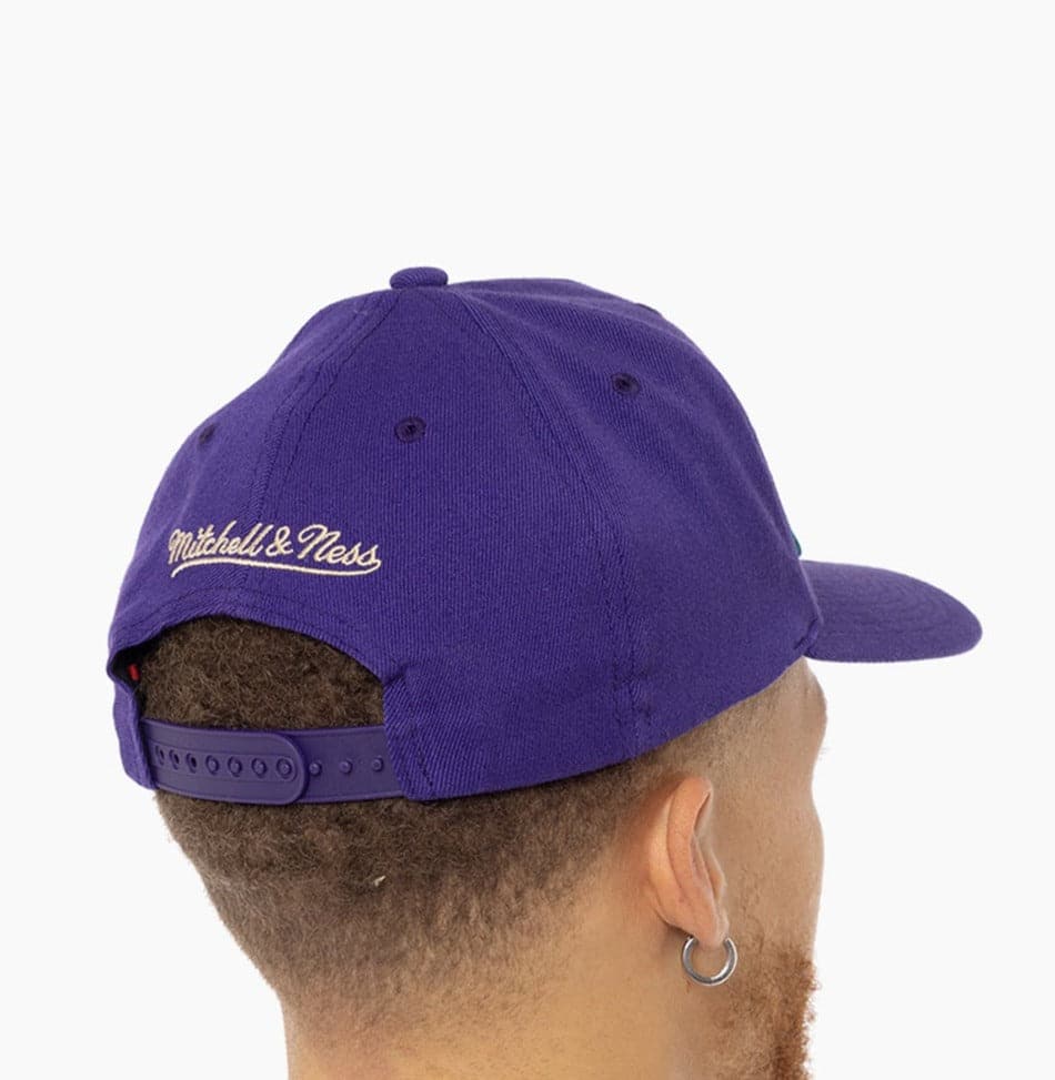 Mitchell And Ness Caps Charlotte Hornets Mitchell & Ness NBA Wordmark Pro Crown Snapback Hat - Purple