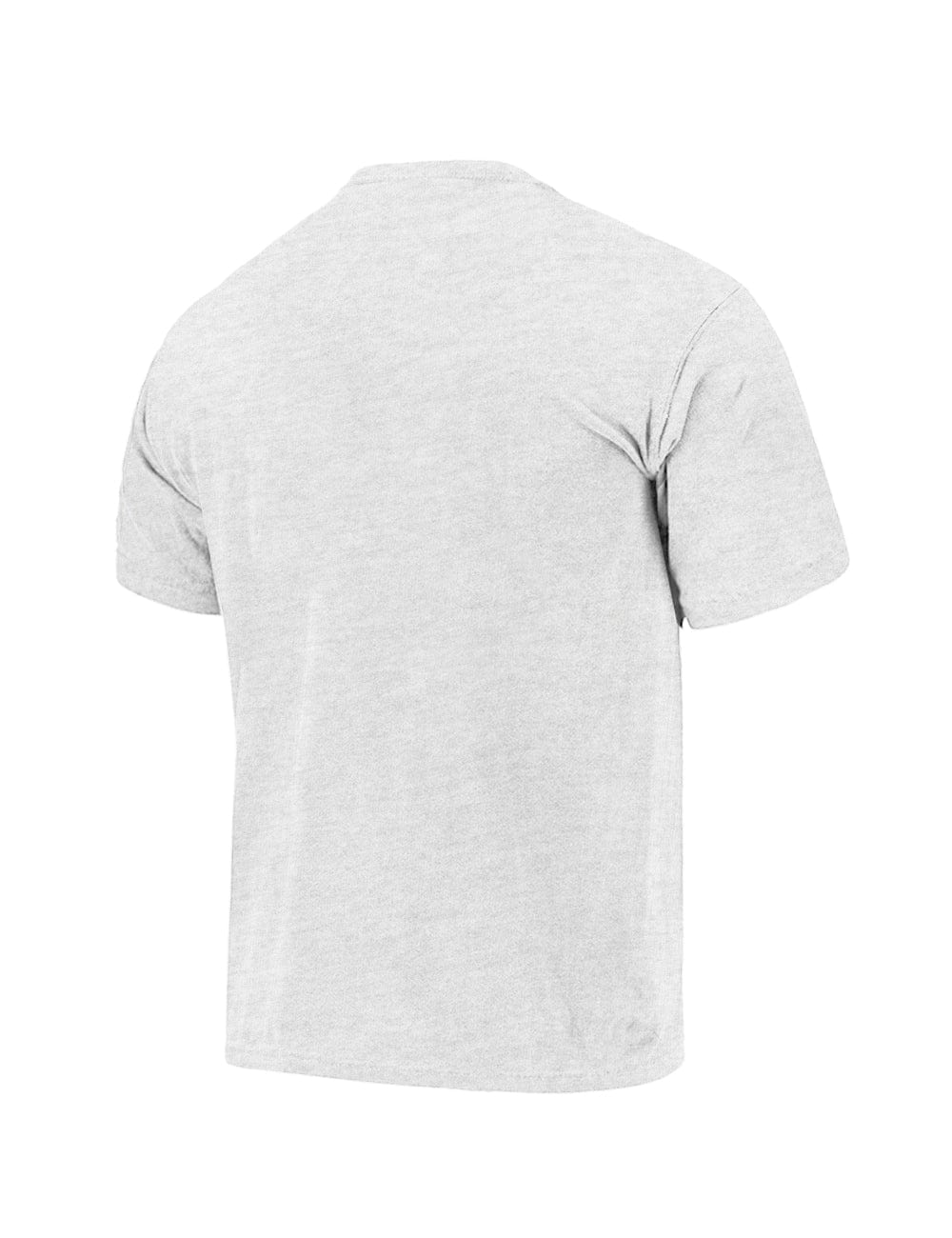 NBA Essentials T-Shirts Charlotte Hornets NBA Bloomfield Vintage T-Shirt - Marle