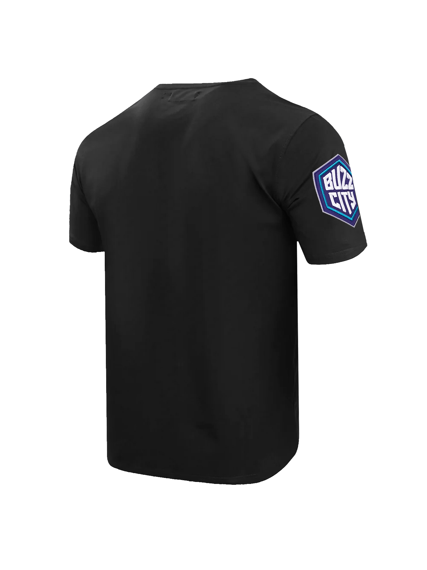 Pro Standard T-Shirts Charlotte Hornets Pro Standard NBA Team Chenille Flex T-Shirt - Black