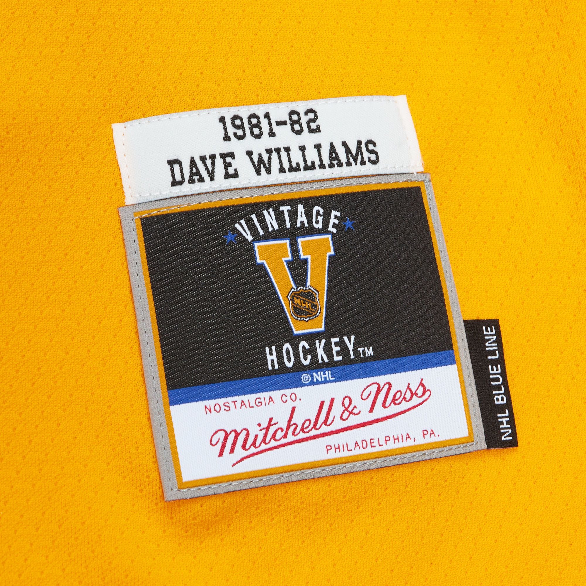 Mitchell And Ness Jerseys Dave Williams Vancouver Canucks Mitchell & Ness NHL Blue Line Jersey - Yellow