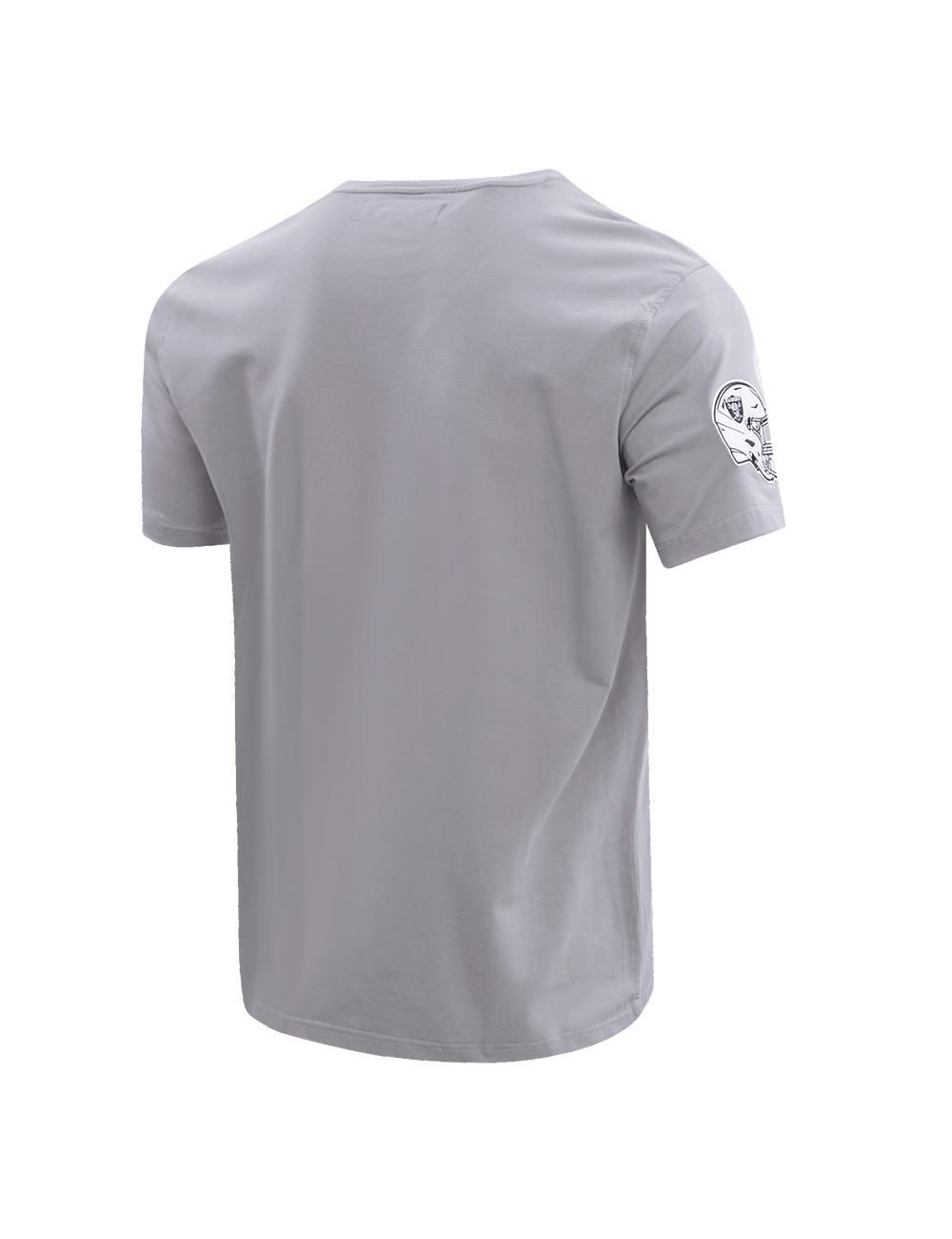 Pro Standard T-Shirts Las Vegas Raiders Pro Standard NFL Classic Chenille Flex T-Shirt - Grey
