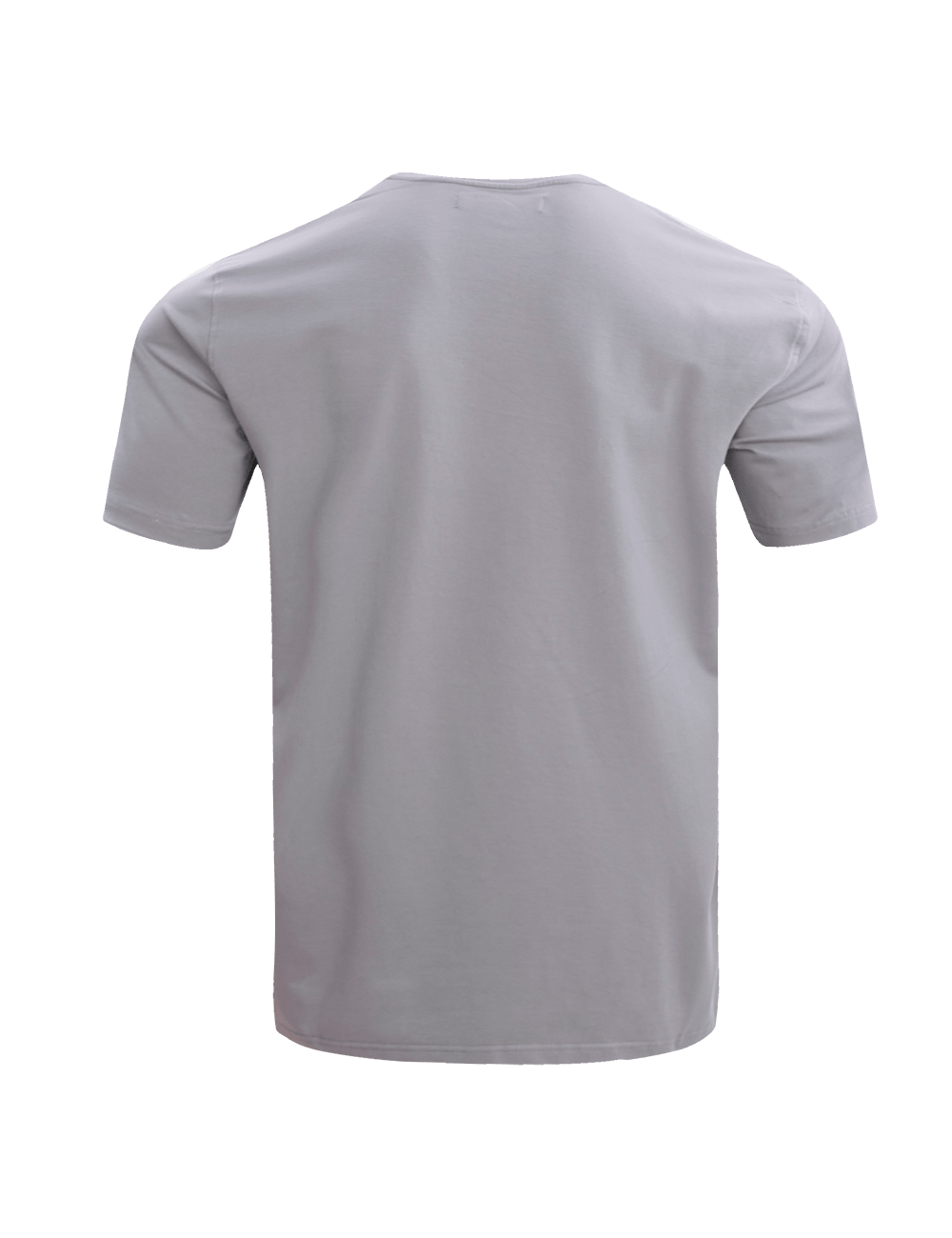 Pro Standard T-Shirts Las Vegas Raiders Pro Standard NFL Classic Chenille Flex T-Shirt - Grey