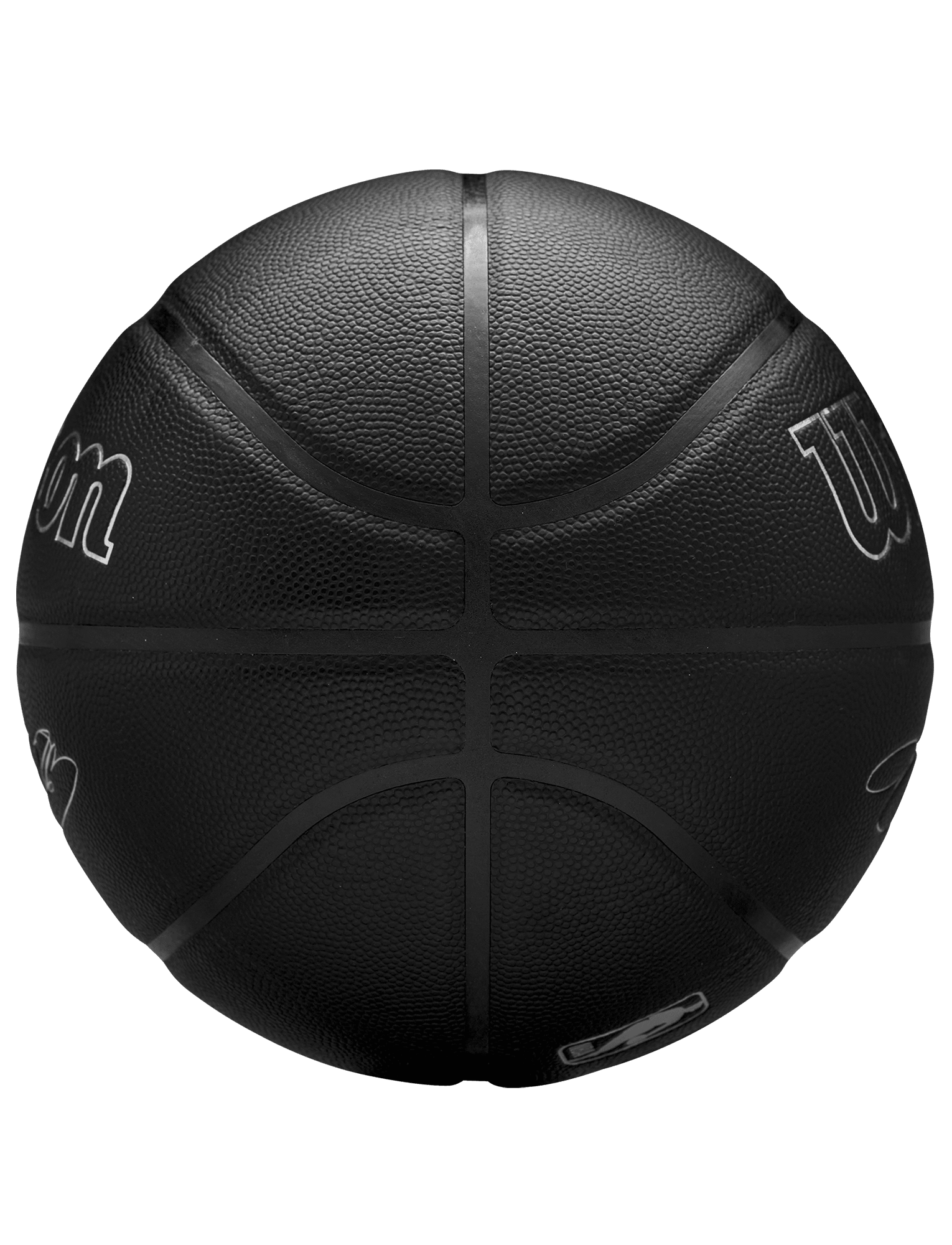 Wilson Sporting Goods Balls LeBron James Los Angeles Lakers Wilson NBA Nightmode Player Basketball