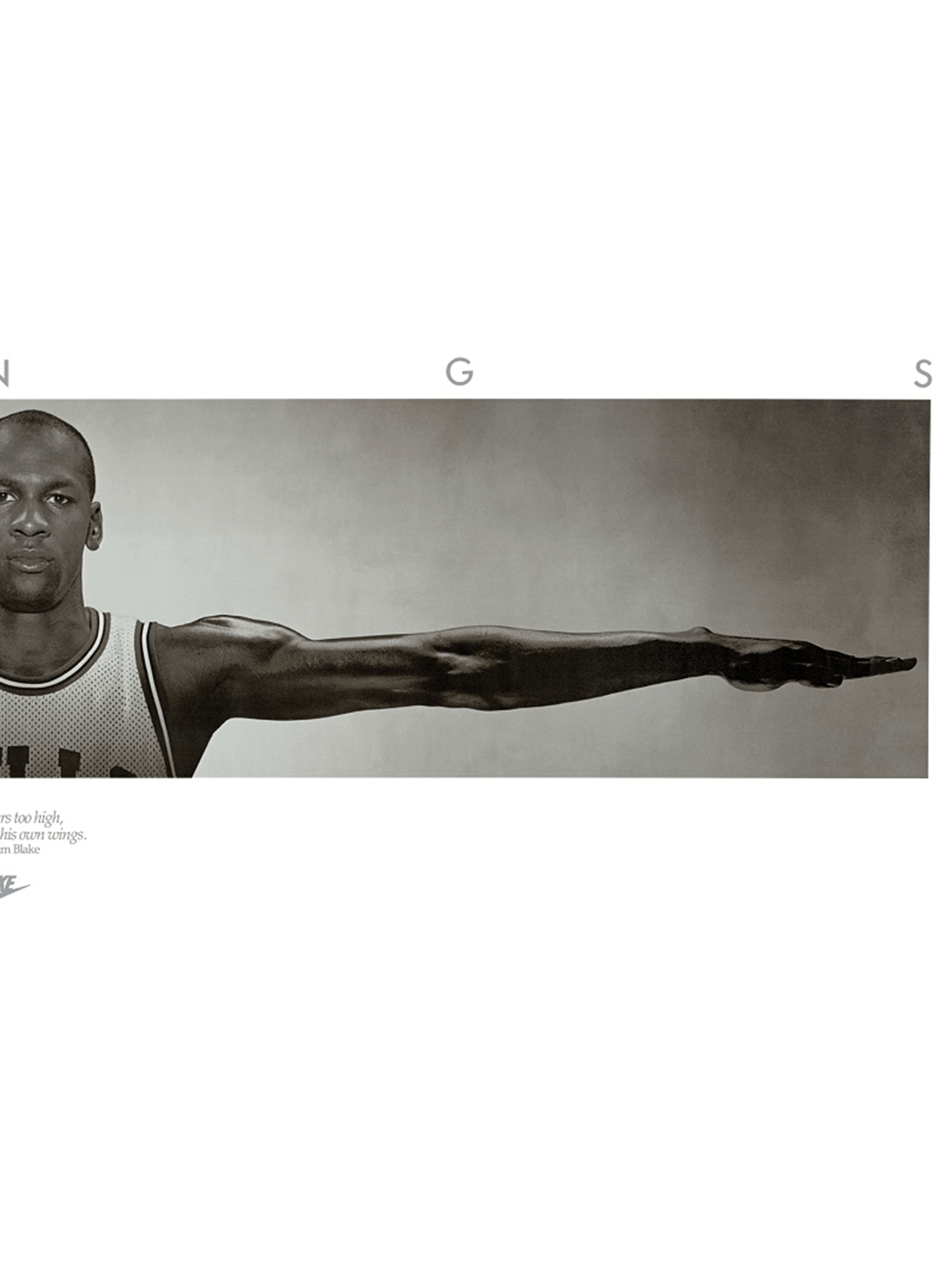 Trends International Posters Michael Jordan Chicago Bulls NBA Wings 160 x 60cm Poster