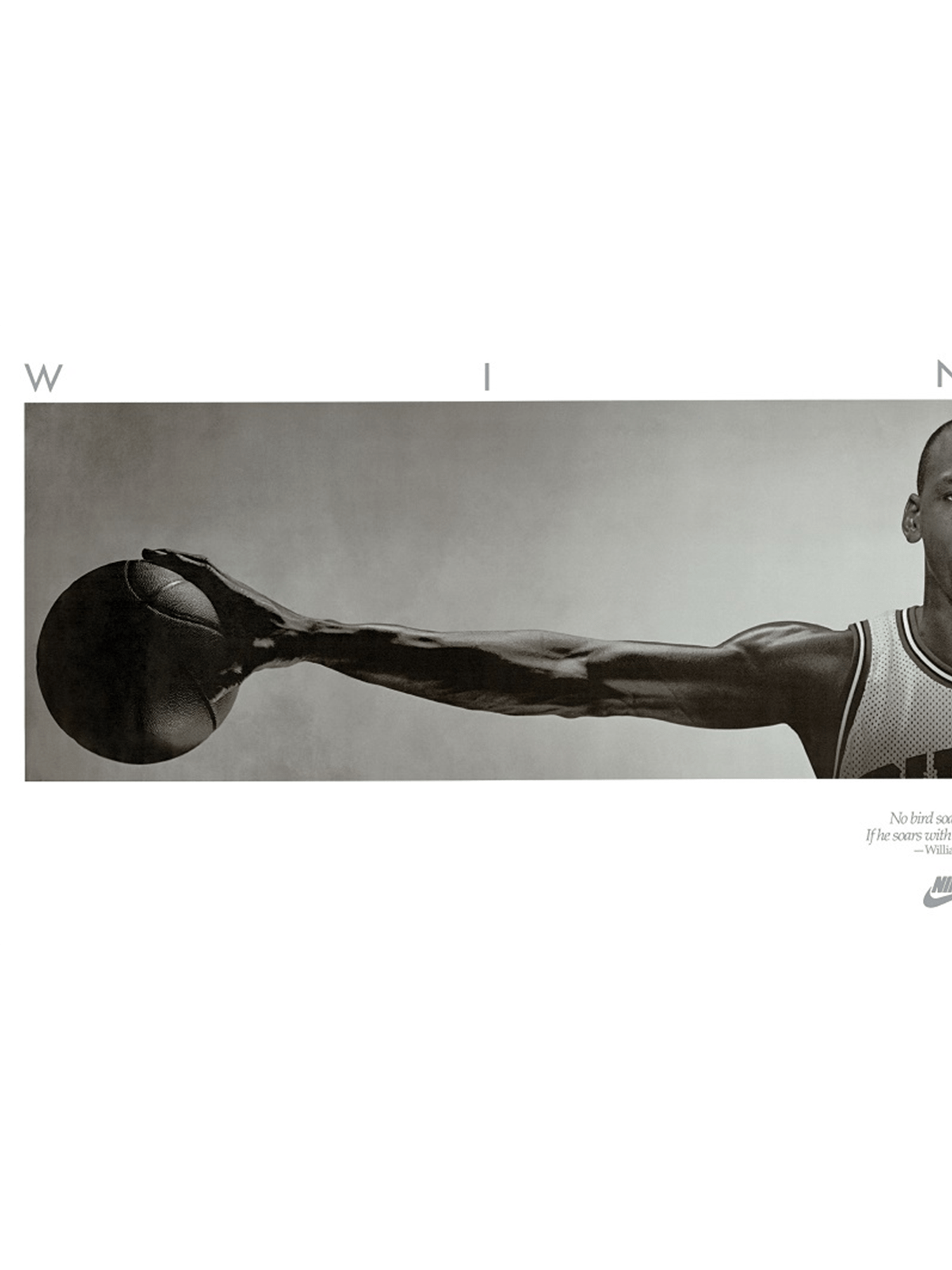 Trends International Posters Michael Jordan Chicago Bulls NBA Wings 160 x 60cm Poster