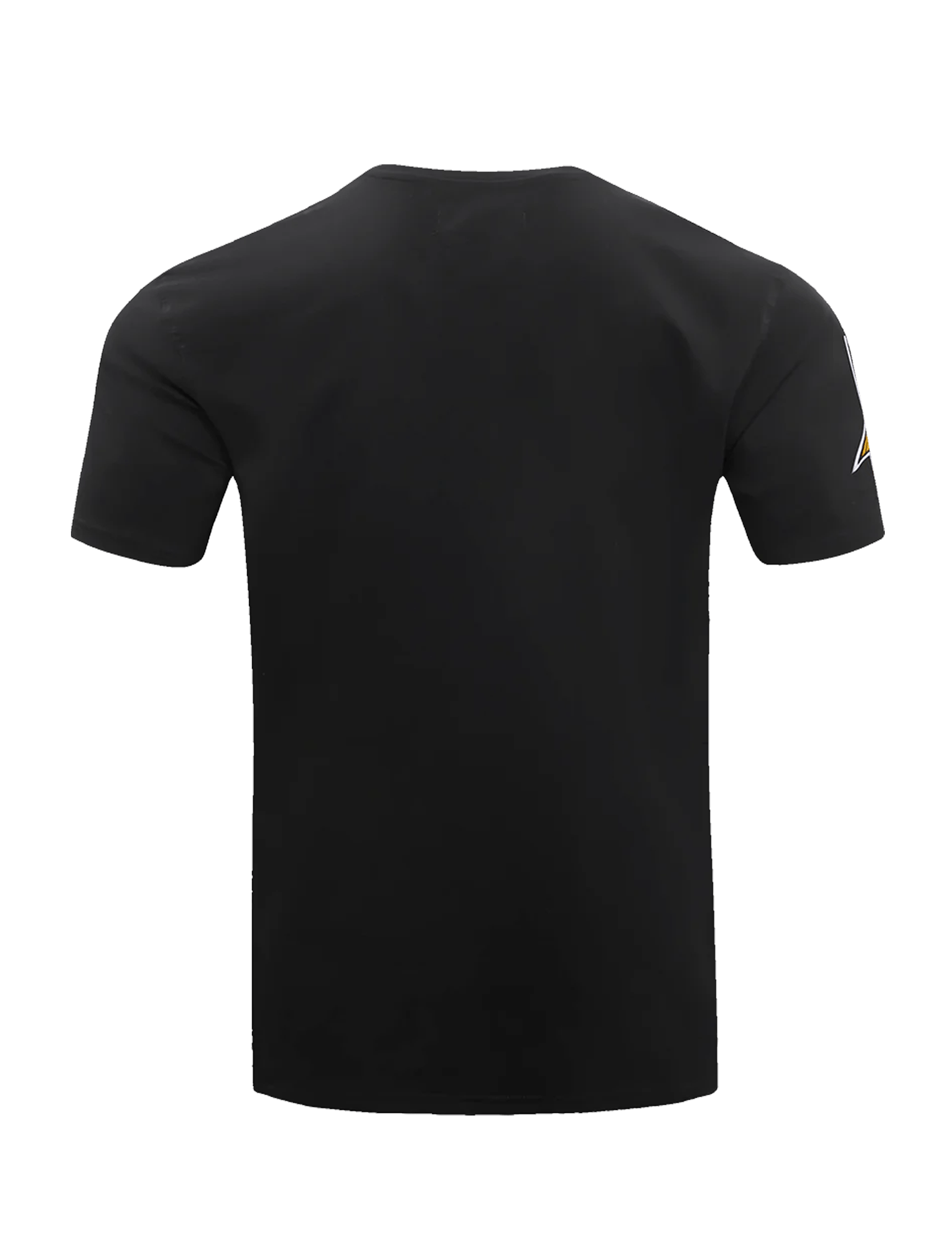 Pro Standard T-Shirts Minnesota Vikings Pro Standard NFL Classic Chenille Flex T-Shirt - Black
