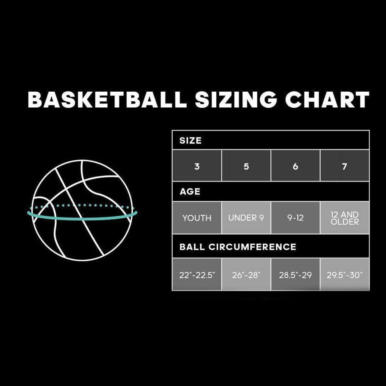 Wilson Sporting Goods Balls Phoenix Suns Wilson NBA Team Tribute Full Size Outdoor Basketball Ball