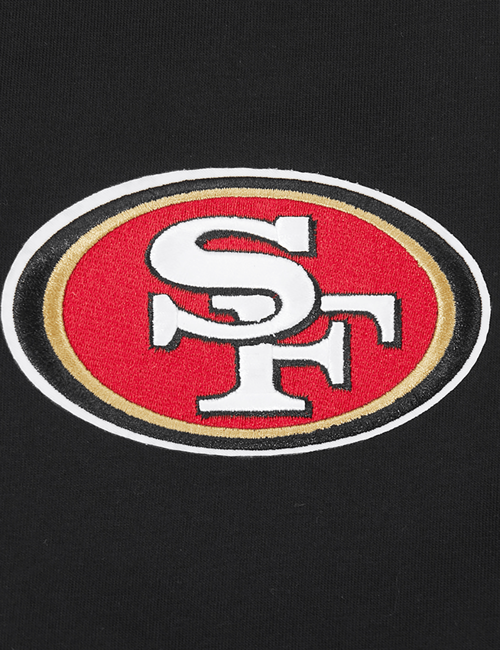 Pro Standard T-Shirts San Francisco 49ers Pro Standard NFL Wingspan Drop Shoulder T-Shirt - Black