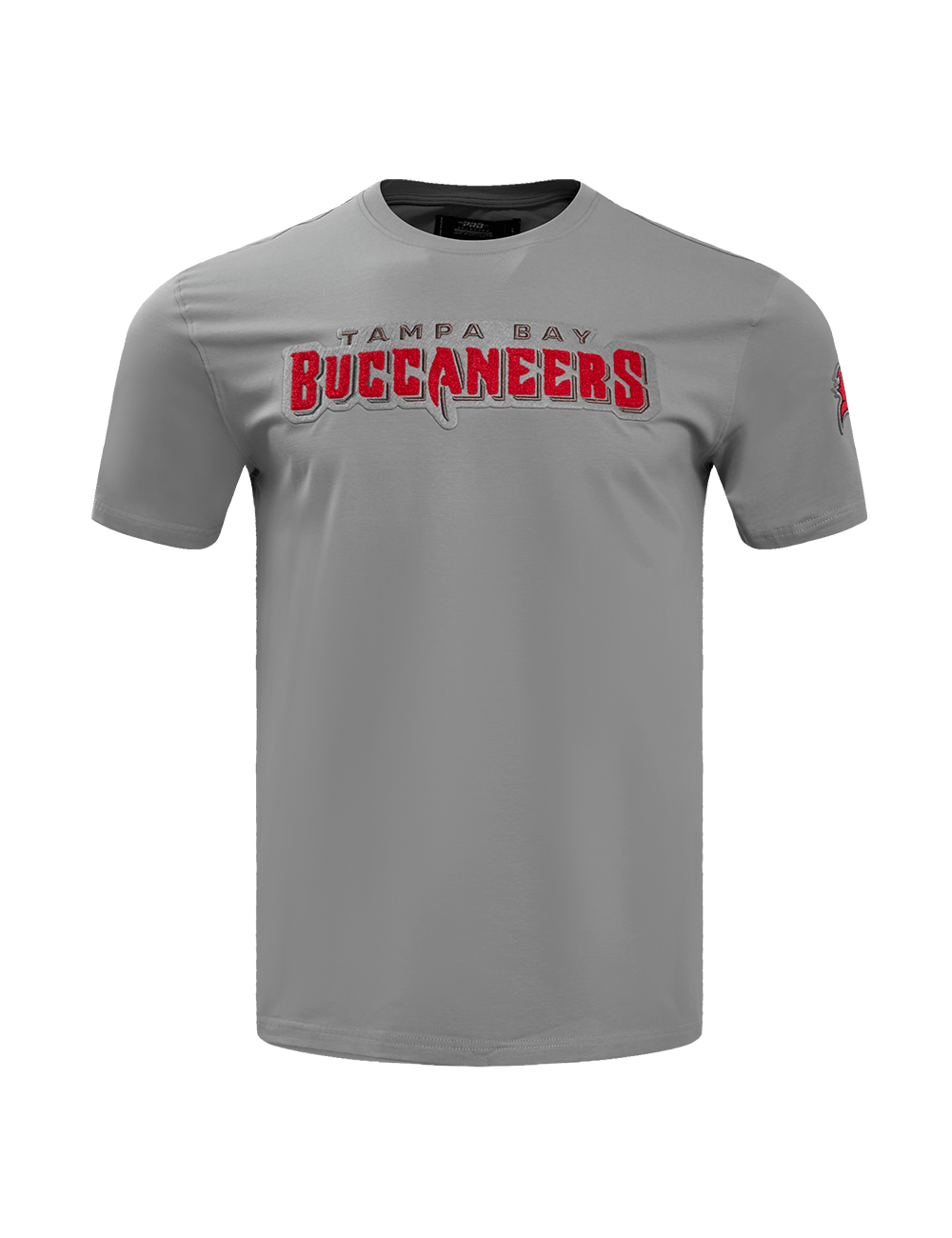 Pro Standard T-Shirts Tampa Bay Buccaneers Pro Standard NFL Classic Chenille Flex T-Shirt - Grey