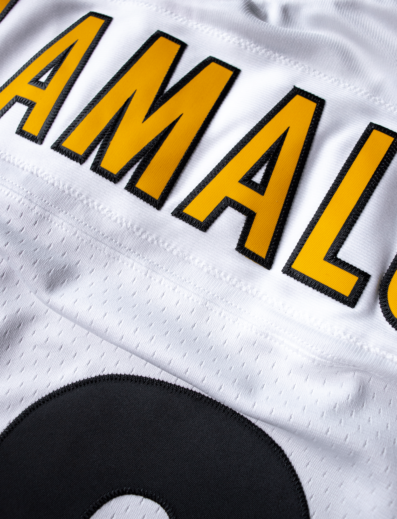 Mitchell And Ness Jerseys Troy Polamalu Pittsburgh Steelers Mitchell & Ness NFL 05 Legacy Jersey - White