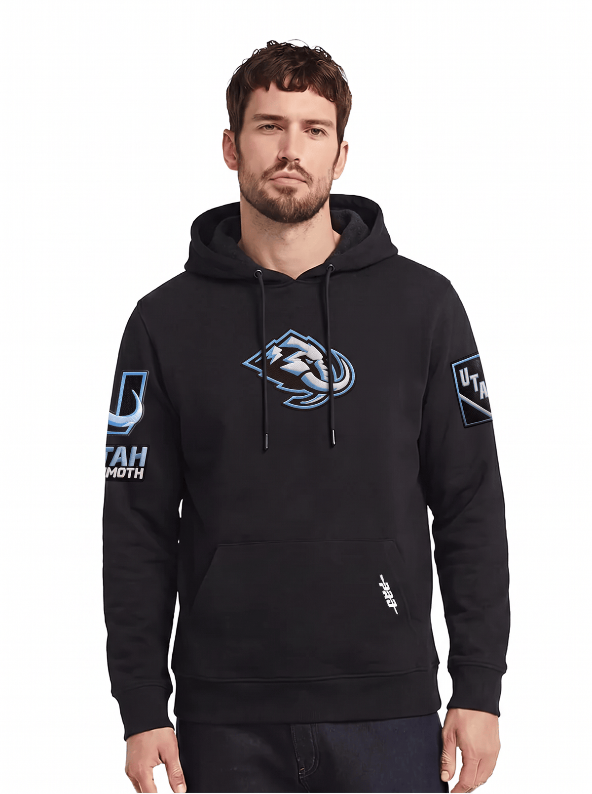 Pro Standard Jumpers Utah Mammoth Pro Standard NHL Classic Chenille Flex Hoodie Jumper - Black
