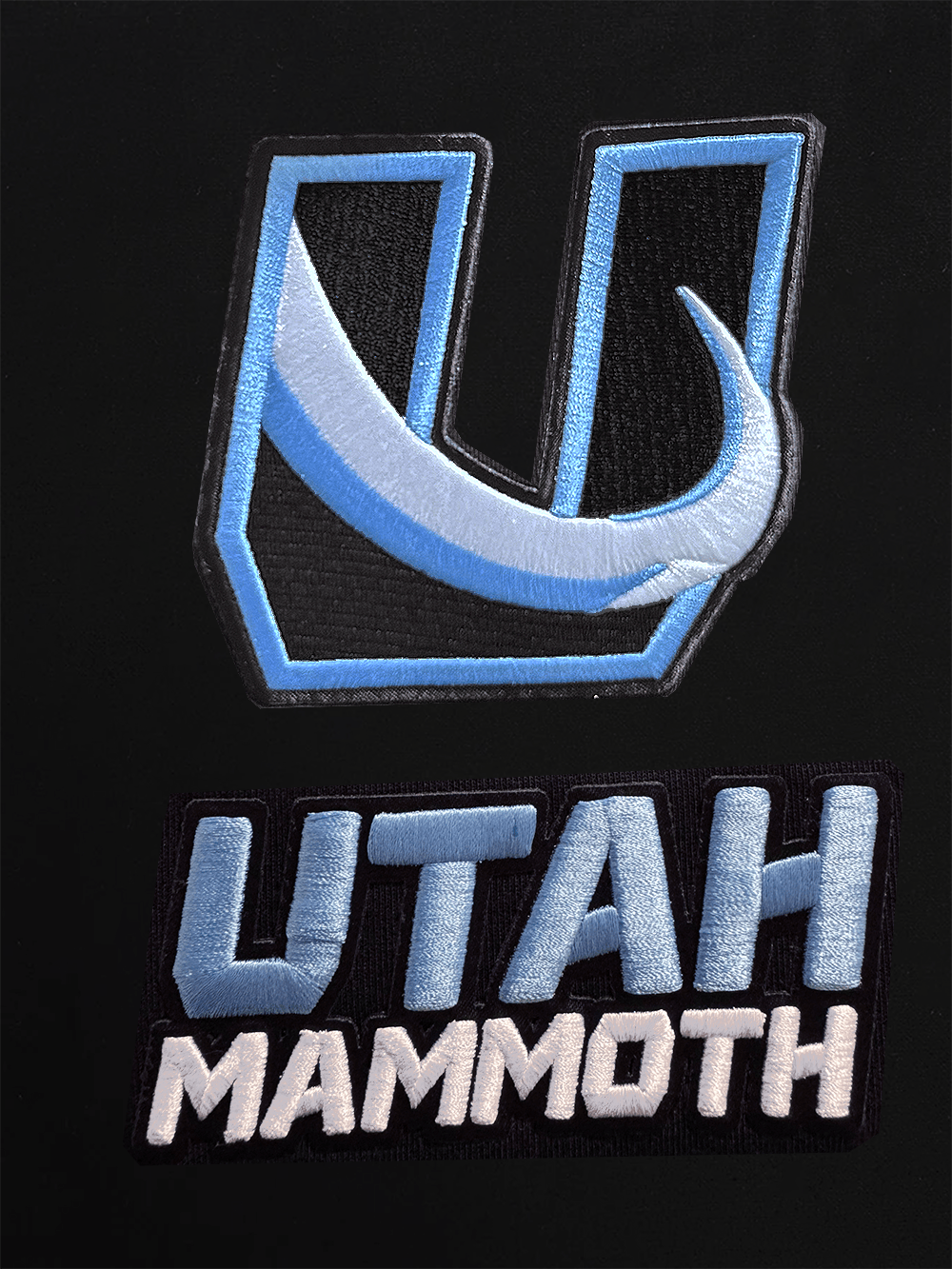 Pro Standard Jumpers Utah Mammoth Pro Standard NHL Classic Chenille Flex Hoodie Jumper - Black