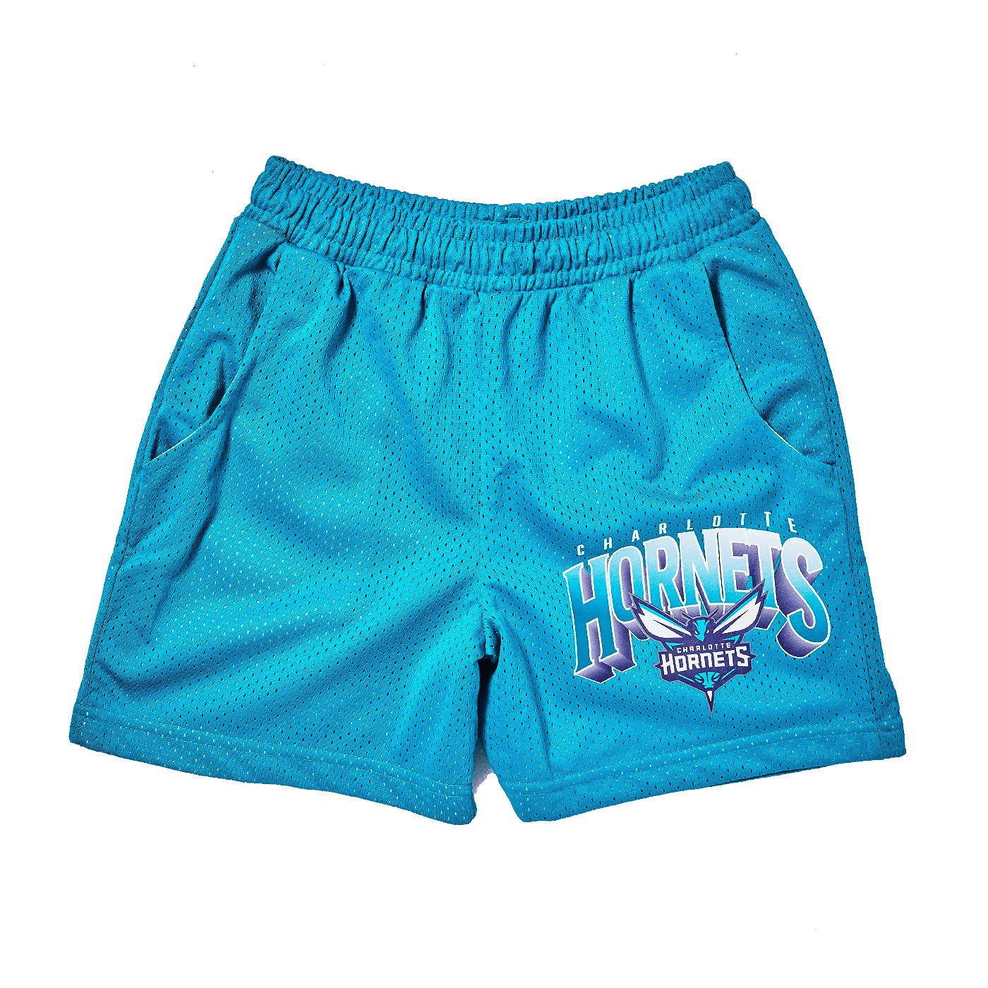 NBA Essentials Shorts Youths Charlotte Hornets NBA Newark Mesh Shorts - Teal