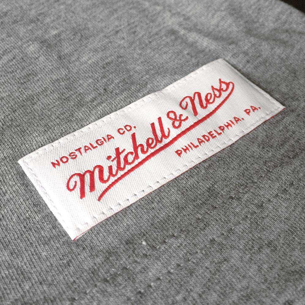 Mitchell And Ness T-Shirts Boston Celtics Mitchell & Ness NBA Full Circle Muscle T-Shirt - Grey