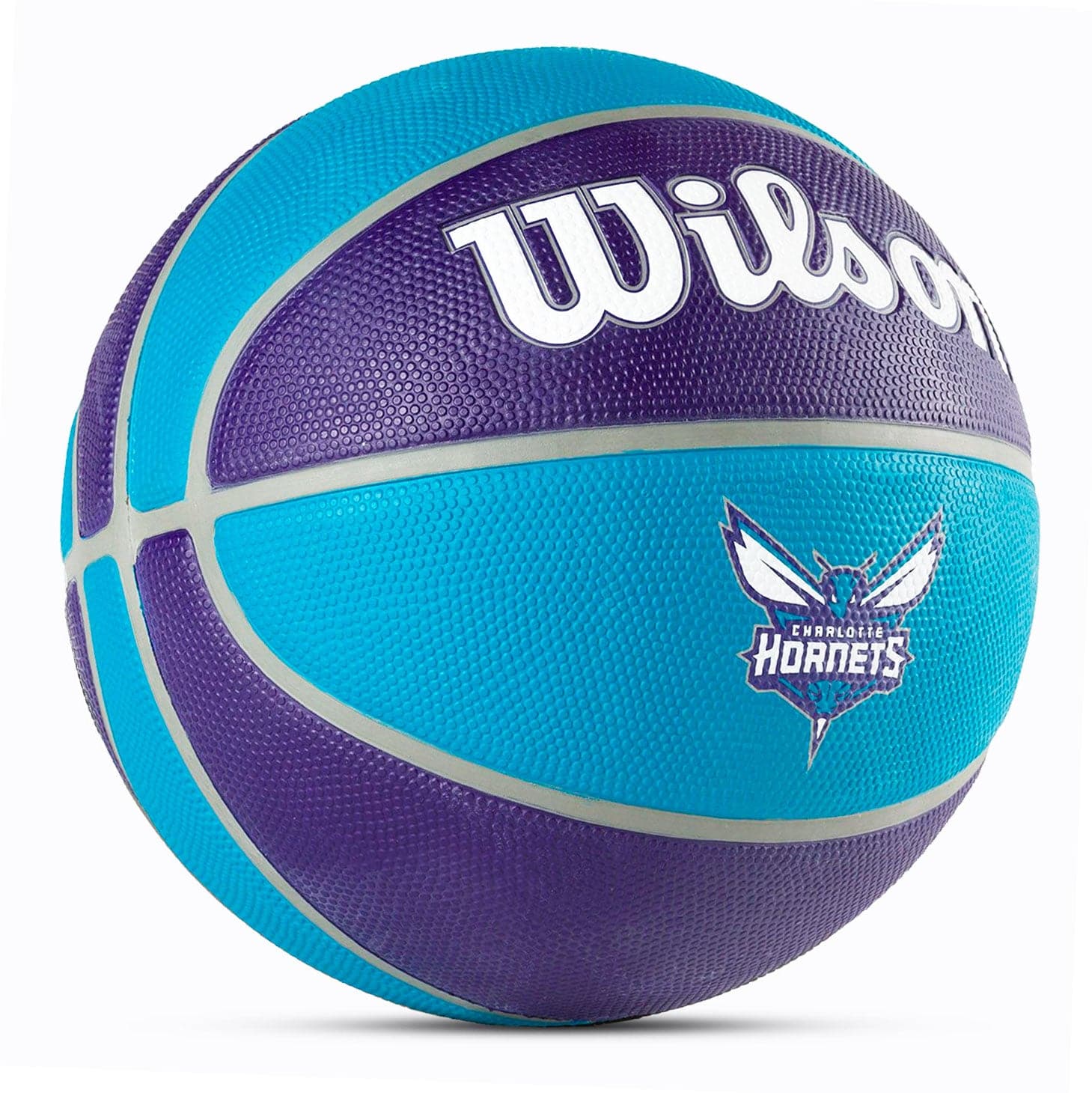 Wilson Sporting Goods Balls Charlotte Hornets Wilson NBA Team Tribute Full Size Outdoor Basketball Ball