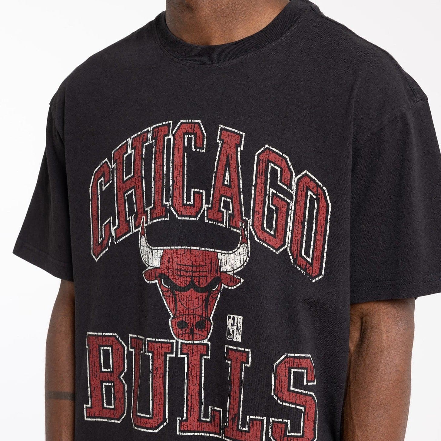 Mitchell And Ness T-Shirts Chicago Bulls Mitchell & Ness NBA HWC Ivy Arch Vintage T-Shirt - Faded Black