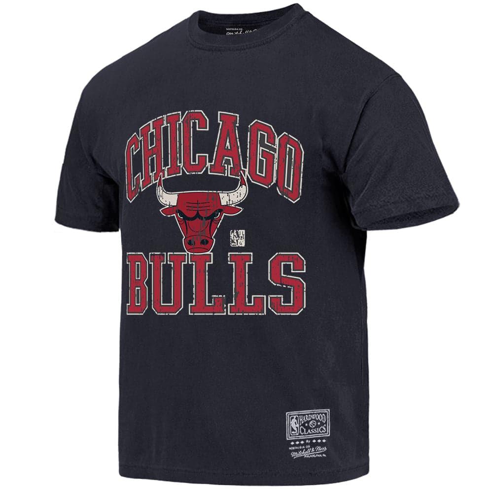 Mitchell And Ness T-Shirts Chicago Bulls Mitchell & Ness NBA HWC Ivy Arch Vintage T-Shirt - Faded Black