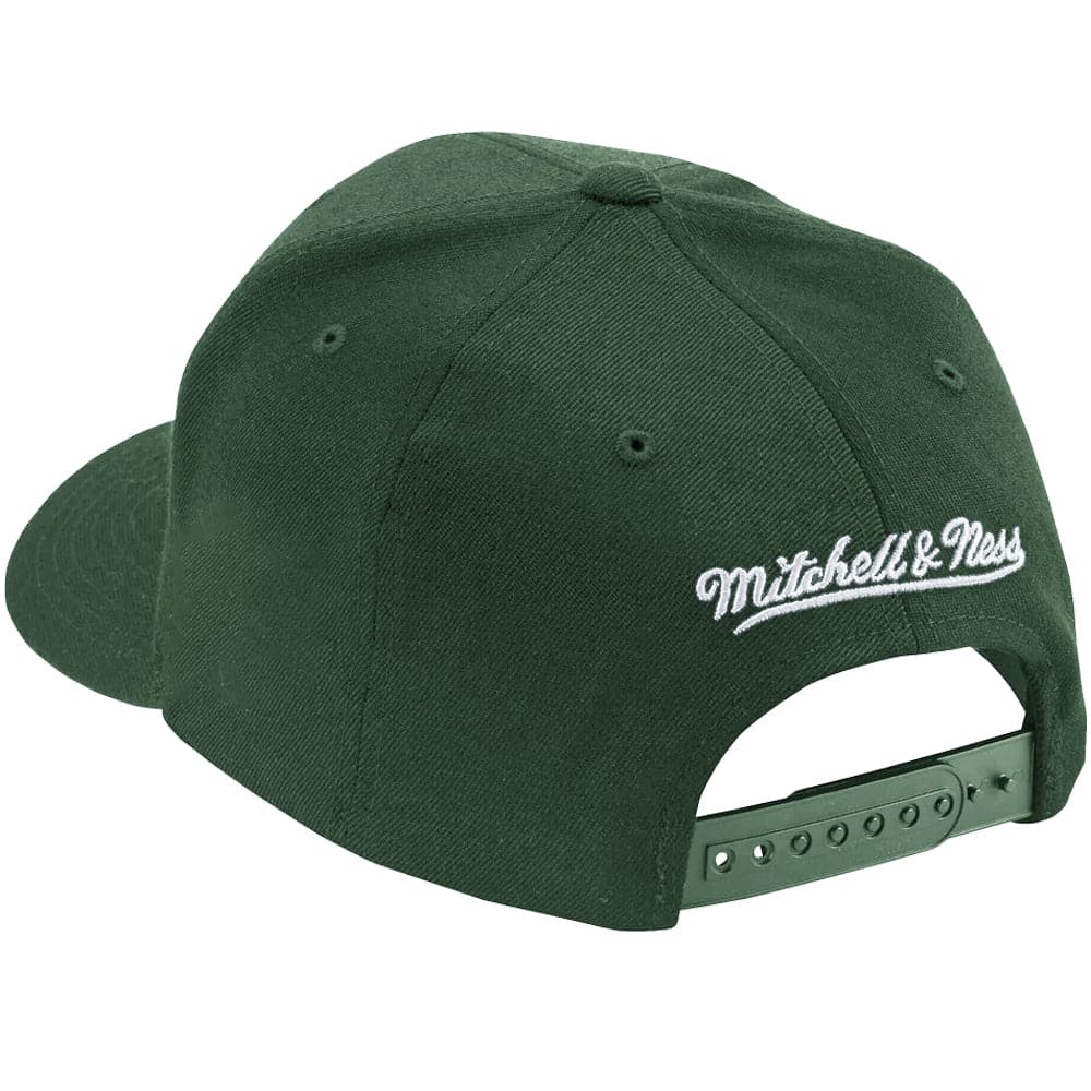 Mitchell And Ness Caps Chicago Bulls Mitchell & Ness NBA Team Tonal Classic Red Snapback Hat - Green