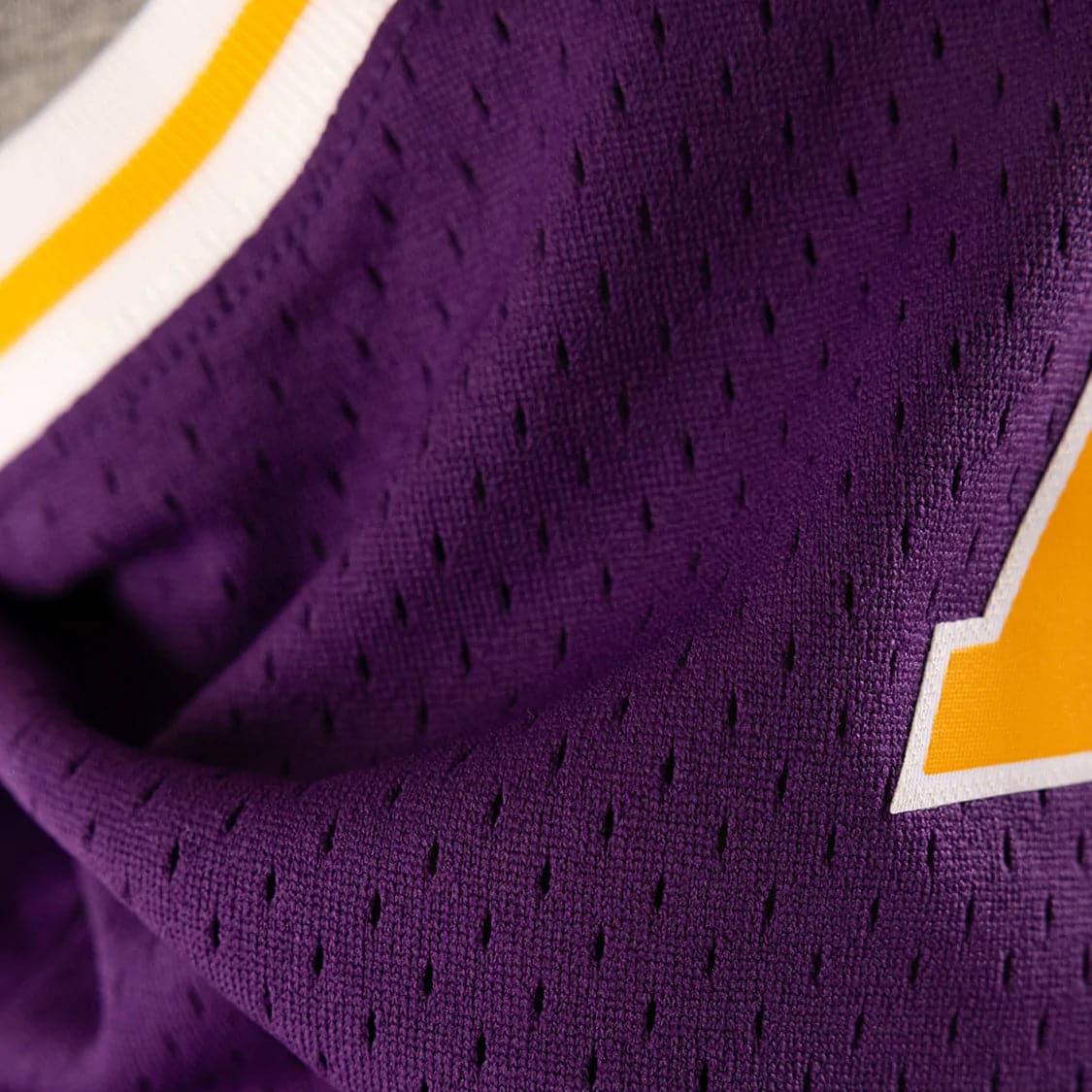 Mitchell And Ness Jerseys Dennis Rodman Los Angeles Lakers 98-99 Road Mitchell & Ness NBA Swingman Jersey - Purple