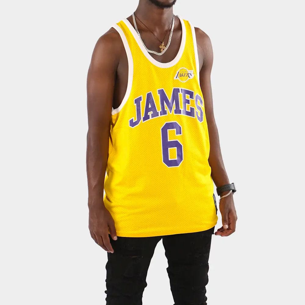 NBA Essentials Jerseys LeBron James Los Angeles Lakers NBA Essentials Reversible Mesh Tank - Gold/Purple