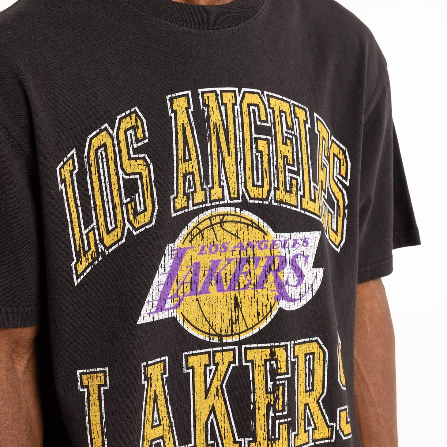 Mitchell And Ness T-Shirts Los Angeles Lakers Mitchell & Ness NBA HWC Ivy Arch Vintage T-Shirt - Faded Black