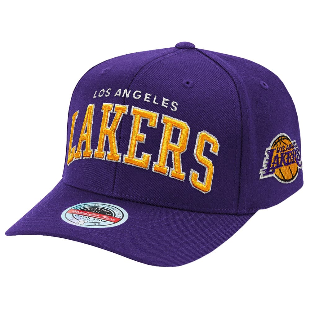 Mitchell And Ness Caps Los Angeles Lakers Mitchell & Ness NBA Iconic Classic Red Curve Snapback Hat - Purple