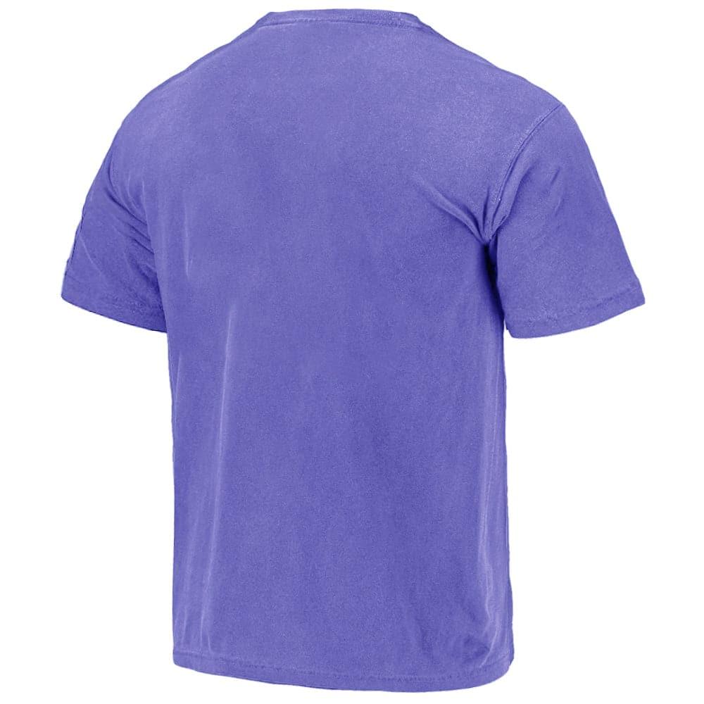 Mitchell And Ness T-Shirts Phoenix Suns Mitchell & Ness NBA HWC Arch Vintage Oversized T-Shirt - Faded Purple