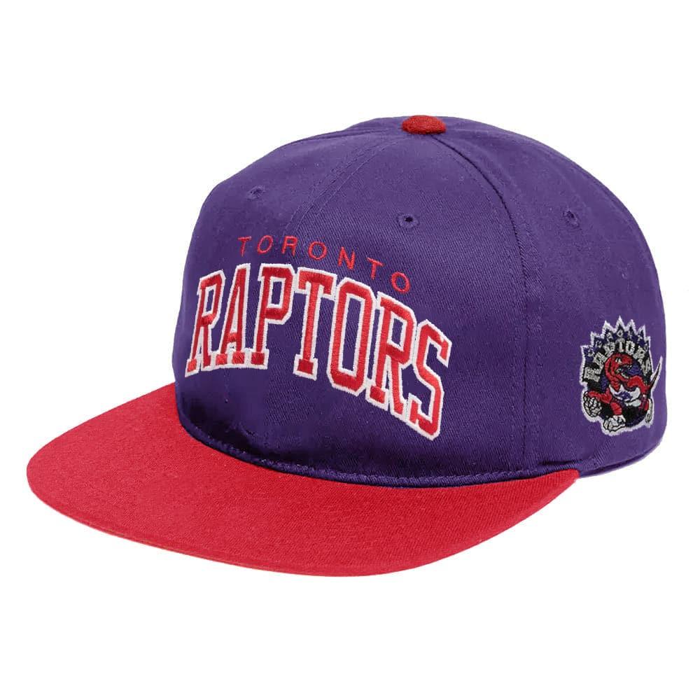 Mitchell And Ness Caps Toronto Raptors Mitchell & Ness NBA 2T Vintage Arch Deadstock Snapback Hat - Purple