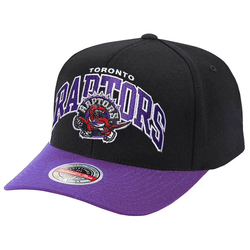 Mitchell And Ness Caps Toronto Raptors Mitchell & Ness NBA HWC Team Arch Pro Crown Snapback Hat - Black