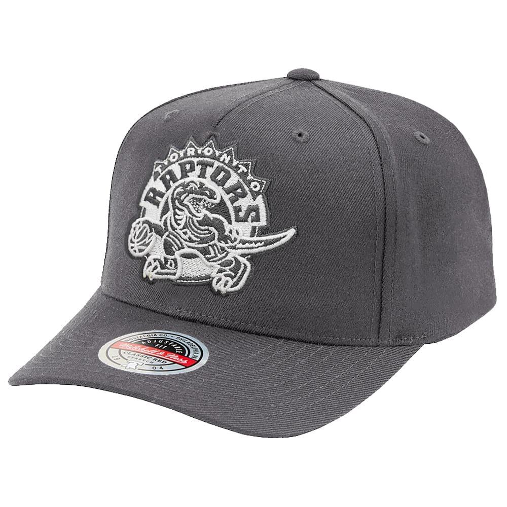 Mitchell And Ness Caps Toronto Raptors Mitchell & Ness NBA Laguana Curve Snapback Hat - Grey