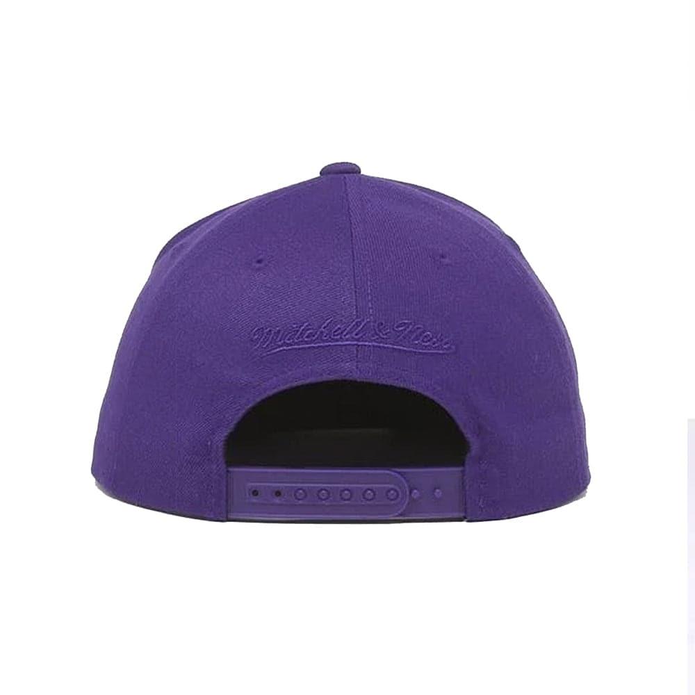 Mitchell And Ness Caps Toronto Raptors Mitchell & Ness NBA Stripes Deadstock Snapback Hat - Purple