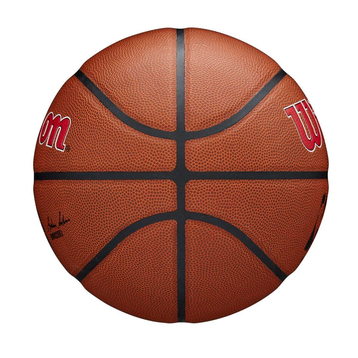 Wilson Sporting Goods Balls Toronto Raptors Wilson NBA Team Full Size Basketball Ball